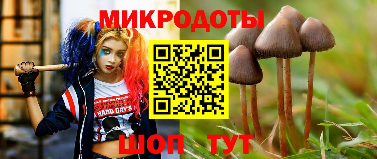Псилоцибиновые грибы прущие грибы Каменка