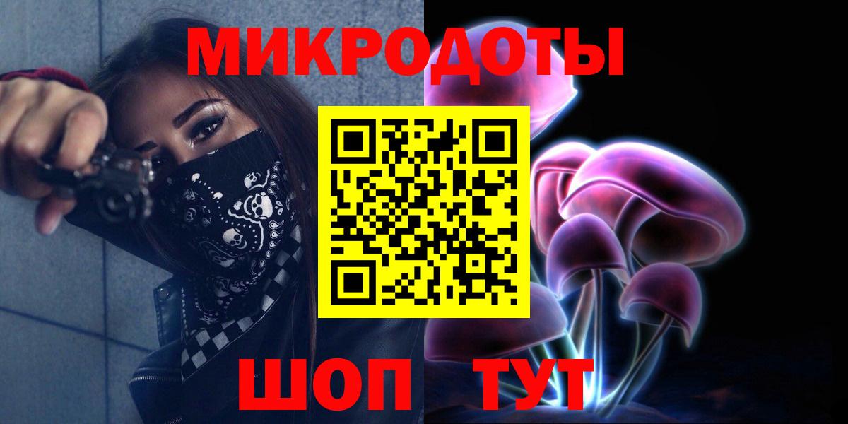 Каменка  Псилоцибиновые грибы Cubensis  Вход с VPN 